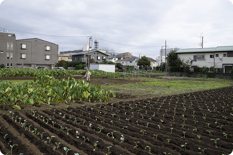 生産緑地の土地活用